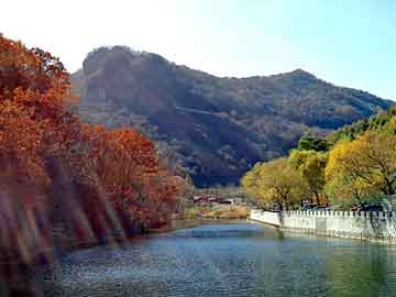 澳门二四六天天彩图库，四川日报广告部电话